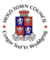 Gyngor Tref yr Wyddgrug