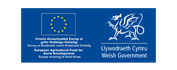 Welsh Government