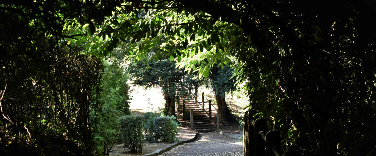 Motte Steps