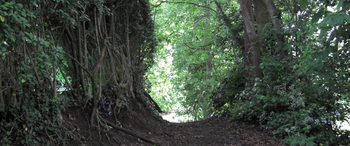 Bryn y Beili - Bailey Hill