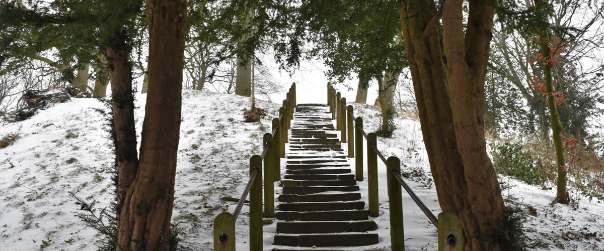 Bryn y Beili - Bailey Hill