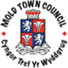 Mold Town Council