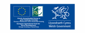 Welsh Government